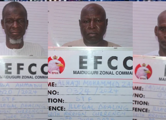 Court jails three illegal BDC operators in Borno