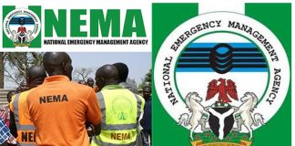 Disaster management is everybody’s business – NEMA