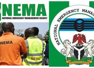 Disaster management is everybody’s business – NEMA