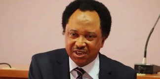 Don't repeat Buhari’s mistakes, Shehu Sani warns Tinubu