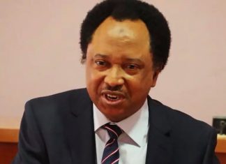 Don't repeat Buhari’s mistakes, Shehu Sani warns Tinubu