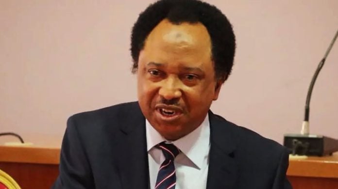 Don't repeat Buhari’s mistakes, Shehu Sani warns Tinubu