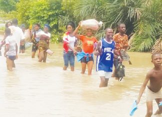 Economic activities grounded as flood washes away Taraba community road