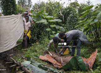 Ethiopia declares three-day mourning as landslide kills 250