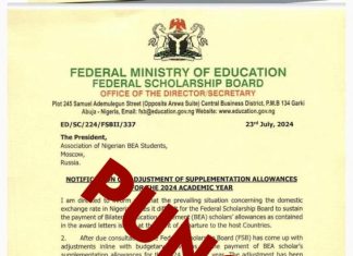 FG slashes stranded foreign scholars' allowances