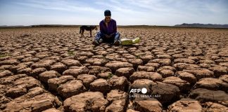 Heatwave kills over 20 in Morocco