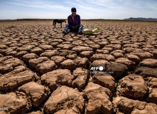 Heatwave kills over 20 in Morocco