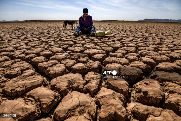 Heatwave kills over 20 in Morocco