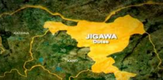 Hit-and-run smuggler kills Customs officer in Jigawa