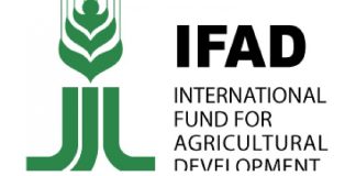 IFAD empowers 26,000 N’Delta youths, women farmers