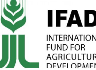 IFAD empowers 26,000 N’Delta youths, women farmers