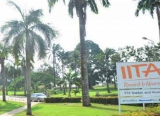 ILRI unveils forage centre to boost Nigeria’s livestock industry