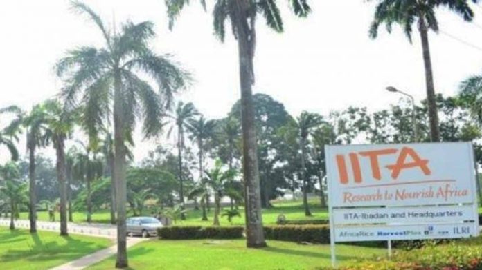 ILRI unveils forage centre to boost Nigeria’s livestock industry