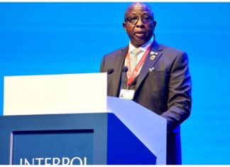 INTERPOL unveils strategies to trace politicians' looted funds