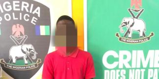 Impersonator defrauds job seeker of N210,000, arrested in Bauchi