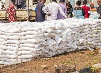 Katsina has received FG’s rice, says acting gov