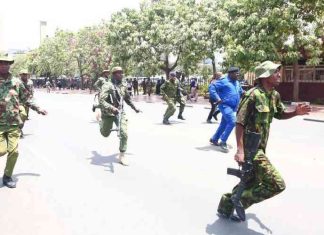 Kenya sends more police to combat Haiti gang crisis