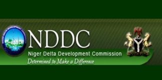 LG caretaker chairman stops NDDC project in Rivers