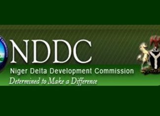 LG caretaker chairman stops NDDC project in Rivers