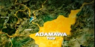 Low voter turnout mars Adamawa LG poll