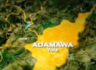 Low voter turnout mars Adamawa LG poll