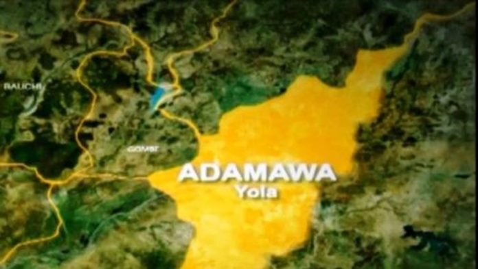 Low voter turnout mars Adamawa LG poll