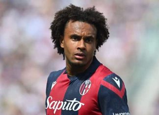 Man Utd sign Dutch striker Zirkzee from Bologna for £36.5m