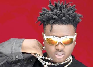 My EP not controversial – Berri Tiga