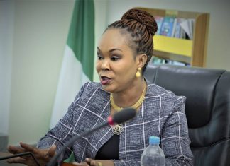 N1.5m fuel for six cars to Anambra no big deal — Minister