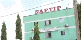 NAPTIP arrests 115 for human trafficking in A’Ibom, others