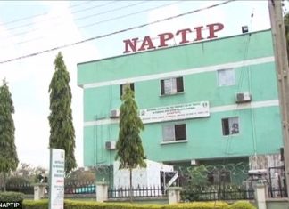 NAPTIP arrests 115 for human trafficking in A’Ibom, others