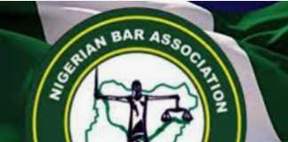 NBA urges police to reconsider CMRIS certificate, disowns ex-SPIDEL excos