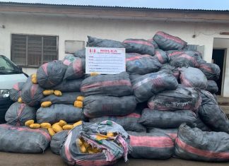 NDLEA arrests wanted Lagos drug baron