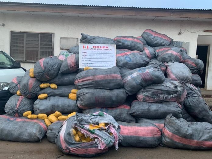 NDLEA arrests wanted Lagos drug baron