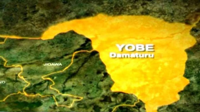 NEMA warns of flooding in eight Yobe LGs