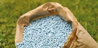 NSCDC nabs seven for selling sand as fertiliser in Gombe 