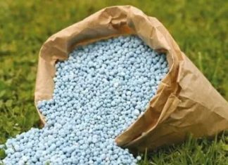 NSCDC nabs seven for selling sand as fertiliser in Gombe 