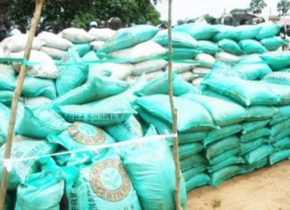 Ogbako Ndigbo distributes fertilisers to farmers in S’East