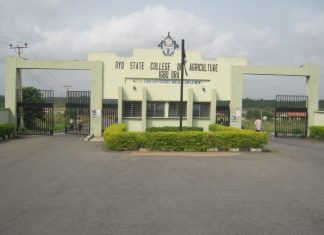 Oyo college assures students of NYSC mobilisation