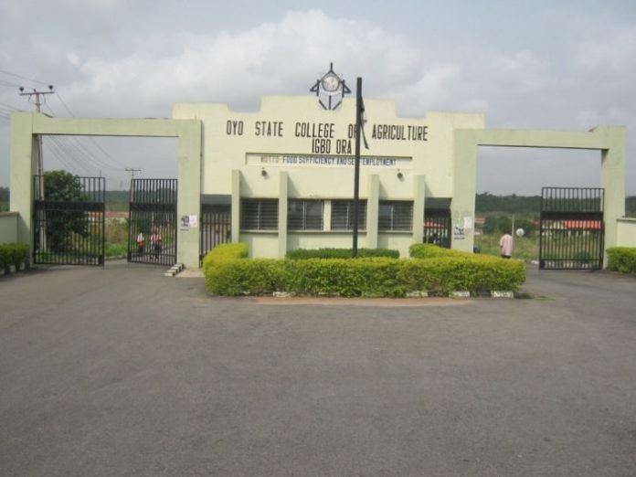 Oyo college assures students of NYSC mobilisation