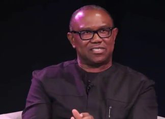 Peter Obi's latest statement, attempt to mobilise against Tinubu