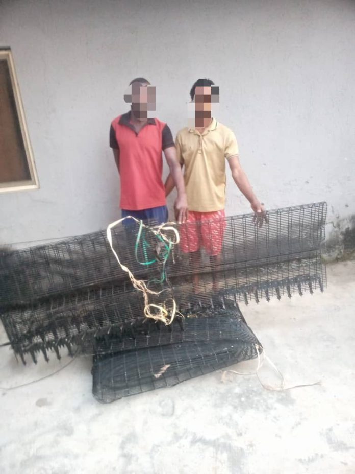 Police arrest two for vandalism in Lagos