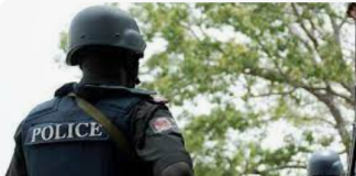 Police hunt kidnappers of Ekiti varsity's ex-DVC