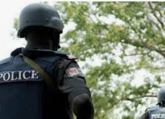 Police hunt kidnappers of Ekiti varsity's ex-DVC