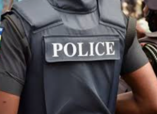 Police kill two bandits in Benue