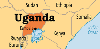 Police uncover 17 skulls in Ugandan shrine