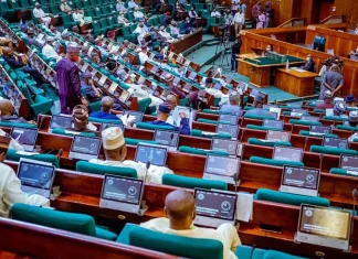 Reps probe Hajj commission over 2024 pilgrimage