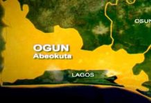 Suspected herders hack Ogun rice farmer to death