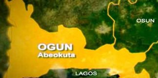 Suspected herders hack Ogun rice farmer to death