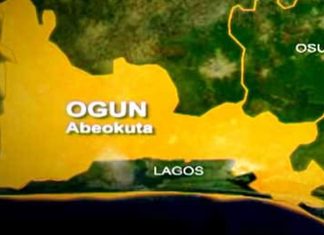 Suspected herders hack Ogun rice farmer to death